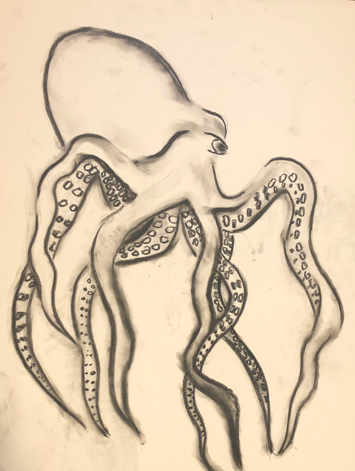 Octopus drawing